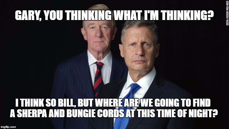 Bill Weld and Gary Johnson | GARY, YOU THINKING WHAT I'M THINKING? I THINK SO BILL, BUT WHERE ARE WE GOING TO FIND A SHERPA AND BUNGIE CORDS AT THIS TIME OF NIGHT? | image tagged in pinky and the brain,bill weld,gary johnson,presidential race,election 2016,political humor | made w/ Imgflip meme maker