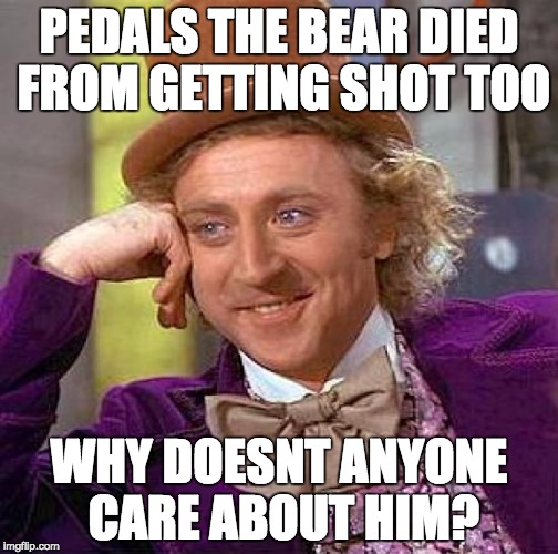 Pedals the Bear | PEDALS THE BEAR DIED FROM GETTING SHOT TOO; WHY DOESNT ANYONE CARE ABOUT HIM? | image tagged in memes,creepy condescending wonka,pedals the bear,why,harambe | made w/ Imgflip meme maker