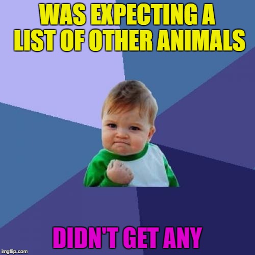 Success Kid Meme | WAS EXPECTING A LIST OF OTHER ANIMALS DIDN'T GET ANY | image tagged in memes,success kid | made w/ Imgflip meme maker