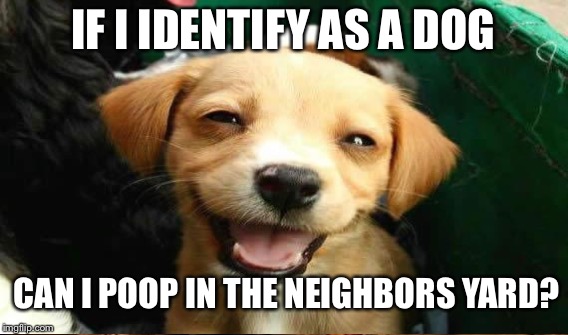 IF I IDENTIFY AS A DOG; CAN I POOP IN THE NEIGHBORS YARD? | image tagged in funny dogs | made w/ Imgflip meme maker