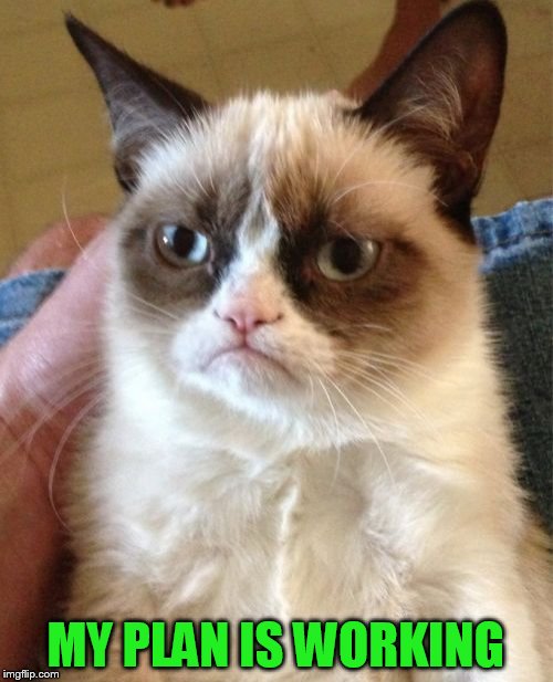 Grumpy Cat Meme | MY PLAN IS WORKING | image tagged in memes,grumpy cat | made w/ Imgflip meme maker