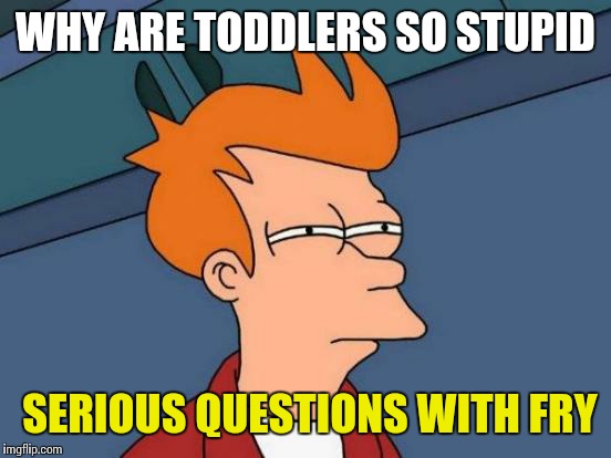 Futurama Fry | WHY ARE TODDLERS SO STUPID; SERIOUS QUESTIONS WITH FRY | image tagged in memes,futurama fry | made w/ Imgflip meme maker