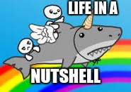Random Life | LIFE IN A; NUTSHELL | image tagged in random | made w/ Imgflip meme maker