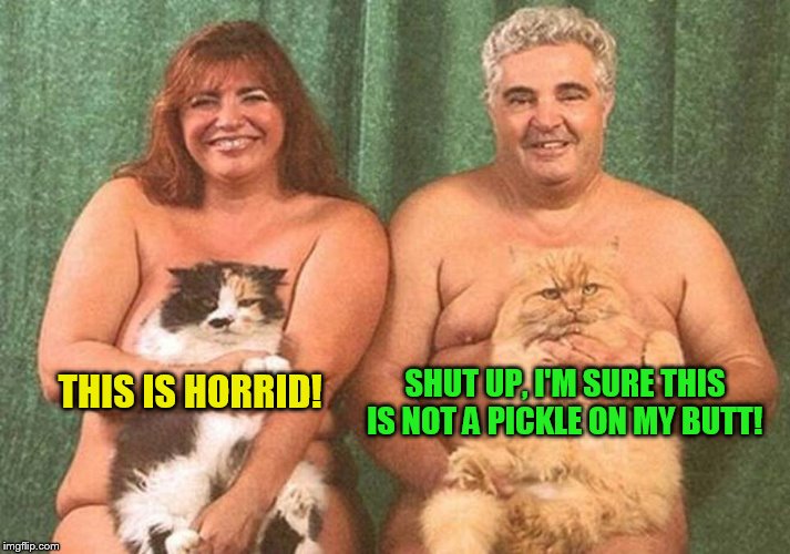DUMB MEME WEEKEND TEST | SHUT UP, I'M SURE THIS IS NOT A PICKLE ON MY BUTT! THIS IS HORRID! | image tagged in dumb meme weekend,cats,funny memes,nude,laughs,wtf | made w/ Imgflip meme maker