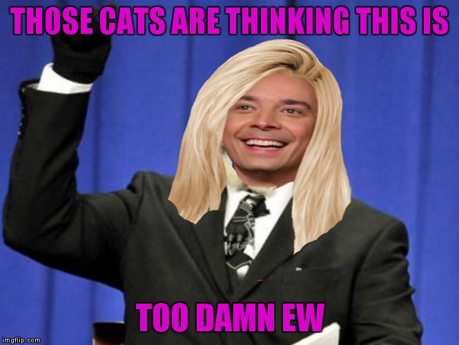 THOSE CATS ARE THINKING THIS IS TOO DAMN EW | made w/ Imgflip meme maker