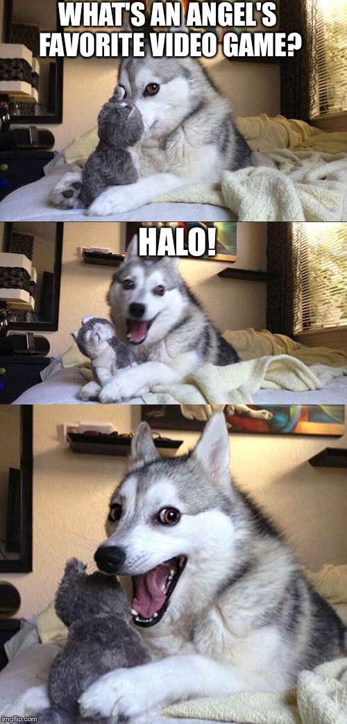 Bad Pun Dog Meme | WHAT'S AN ANGEL'S FAVORITE VIDEO GAME? HALO! | image tagged in memes,bad pun dog | made w/ Imgflip meme maker