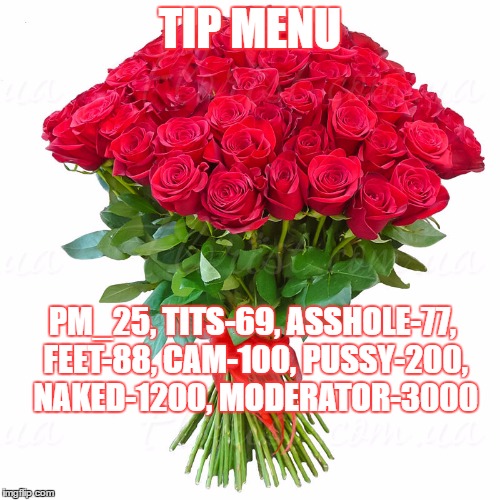 TIP MENU; PM_25, TITS-69, ASSHOLE-77, FEET-88, CAM-100, PUSSY-200, NAKED-1200, MODERATOR-3000 | made w/ Imgflip meme maker
