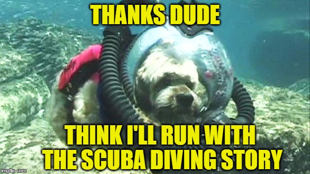 THANKS DUDE THINK I'LL RUN WITH THE SCUBA DIVING STORY | made w/ Imgflip meme maker