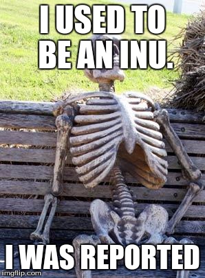 Waiting Skeleton Meme | I USED TO BE AN INU. I WAS REPORTED | image tagged in memes,waiting skeleton | made w/ Imgflip meme maker