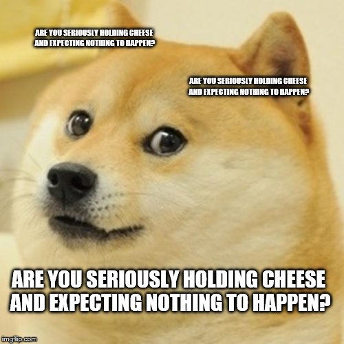 Doge | ARE YOU SERIOUSLY HOLDING CHEESE AND EXPECTING NOTHING TO HAPPEN? ARE YOU SERIOUSLY HOLDING CHEESE AND EXPECTING NOTHING TO HAPPEN? ARE YOU SERIOUSLY HOLDING CHEESE AND EXPECTING NOTHING TO HAPPEN? | image tagged in memes,doge | made w/ Imgflip meme maker