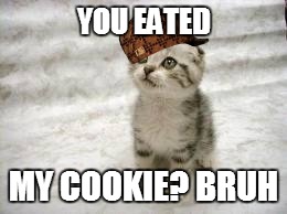 Sad Cat | YOU EATED; MY COOKIE? BRUH | image tagged in memes,sad cat,scumbag | made w/ Imgflip meme maker