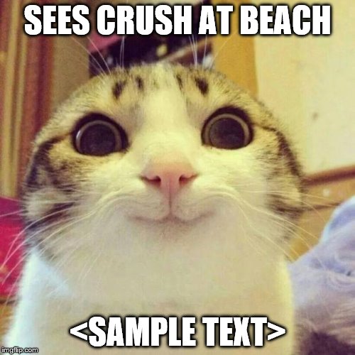 Smiling Cat | SEES CRUSH AT BEACH; <SAMPLE TEXT> | image tagged in memes,smiling cat | made w/ Imgflip meme maker