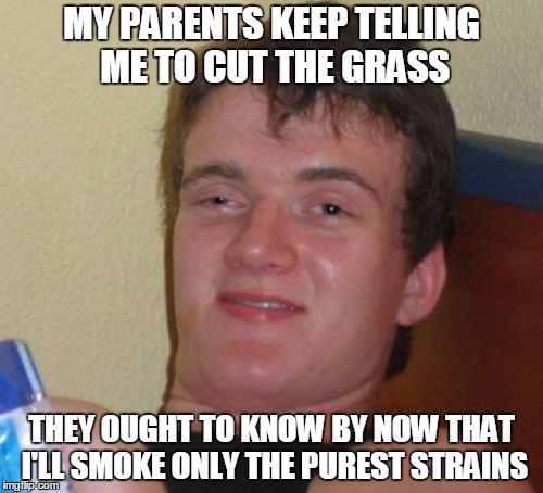 a true connoisseur  | MY PARENTS KEEP TELLING ME TO CUT THE GRASS; THEY OUGHT TO KNOW BY NOW THAT I'LL SMOKE ONLY THE PUREST STRAINS | image tagged in memes,10 guy | made w/ Imgflip meme maker