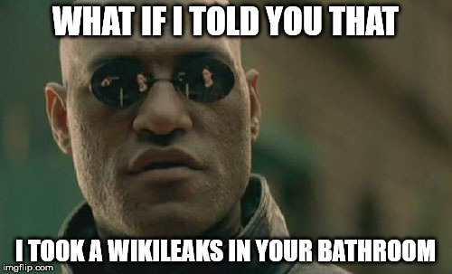 Matrix Morpheus Meme | WHAT IF I TOLD YOU THAT I TOOK A WIKILEAKS IN YOUR BATHROOM | image tagged in memes,matrix morpheus | made w/ Imgflip meme maker