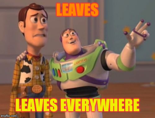 I figured it was the perfect time of year for this one | LEAVES; LEAVES EVERYWHERE | image tagged in memes,x x everywhere,toy story,buzz lightyear,woody | made w/ Imgflip meme maker