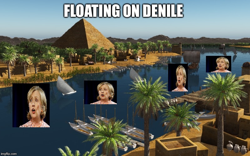 Denile is not just a river in Egypt | FLOATING ON DENILE | image tagged in hillary clinton,election 2016,politics,memes,latest | made w/ Imgflip meme maker