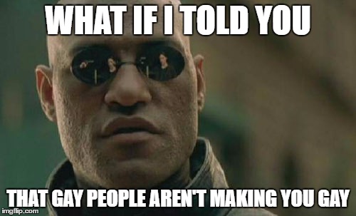 Matrix Morpheus Meme | WHAT IF I TOLD YOU; THAT GAY PEOPLE AREN'T MAKING YOU GAY | image tagged in memes,matrix morpheus | made w/ Imgflip meme maker