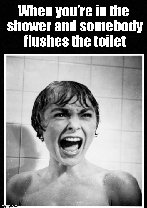 It never fails.... | When you're in the shower and somebody flushes the toilet | image tagged in funny memes,shower,psycho,toilet,cold | made w/ Imgflip meme maker