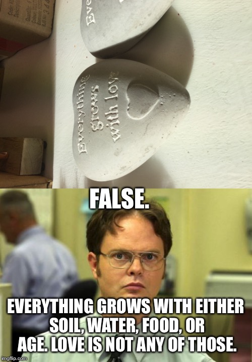 Important lesson  | FALSE. EVERYTHING GROWS WITH EITHER SOIL, WATER, FOOD, OR AGE. LOVE IS NOT ANY OF THOSE. | image tagged in dwight schrute | made w/ Imgflip meme maker