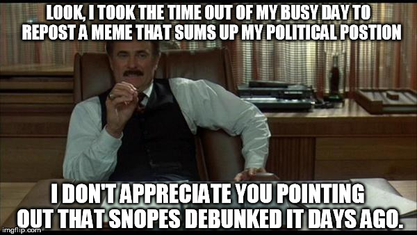 snopes | LOOK, I TOOK THE TIME OUT OF MY BUSY DAY TO  REPOST A MEME THAT SUMS UP MY POLITICAL POSTION; I DON'T APPRECIATE YOU POINTING OUT THAT SNOPES DEBUNKED IT DAYS AGO. | image tagged in politics | made w/ Imgflip meme maker