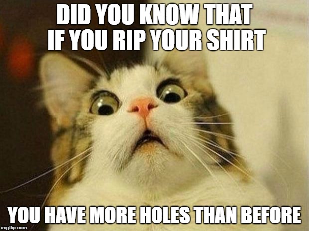 Scared Cat | DID YOU KNOW THAT IF YOU RIP YOUR SHIRT; YOU HAVE MORE HOLES THAN BEFORE | image tagged in memes,scared cat | made w/ Imgflip meme maker