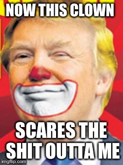 Donald Trump the Clown | NOW THIS CLOWN; SCARES THE SHIT OUTTA ME | image tagged in donald trump the clown | made w/ Imgflip meme maker