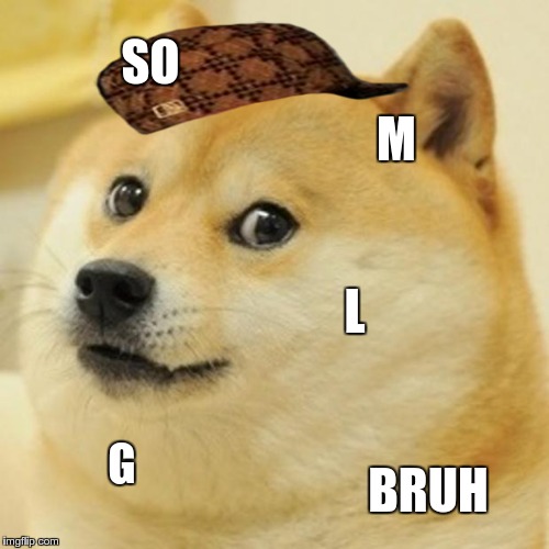 Doge Meme | SO; M; L; G; BRUH | image tagged in memes,doge,scumbag | made w/ Imgflip meme maker