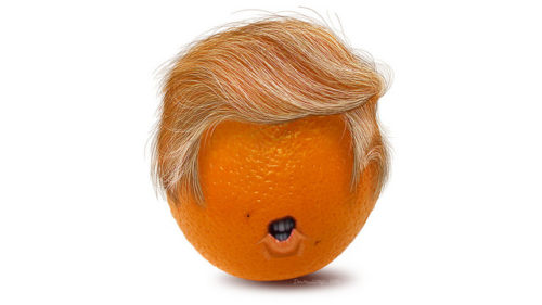 High Quality Trump the Tangerine Blank Meme Template