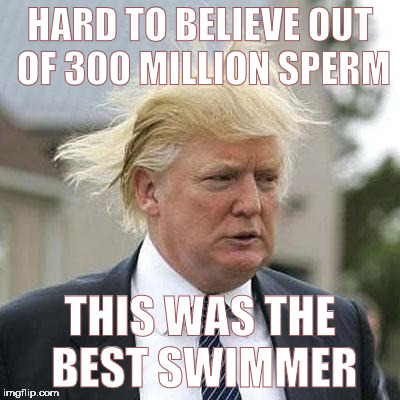 Donald Trump | HARD TO BELIEVE OUT OF 300 MILLION SPERM; THIS WAS THE BEST SWIMMER | image tagged in donald trump | made w/ Imgflip meme maker