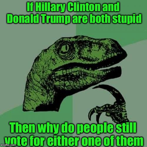 Philosoraptor Meme | If Hillary Clinton and Donald Trump are both stupid; Then why do people still vote for either one of them | image tagged in memes,philosoraptor | made w/ Imgflip meme maker