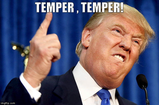 Donald Trump | TEMPER , TEMPER! | image tagged in donald trump | made w/ Imgflip meme maker