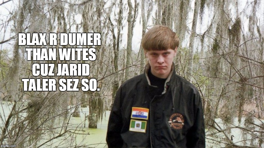 American Renaissance in action. | BLAX R DUMER THAN WITES CUZ JARID TALER SEZ SO. | image tagged in jared taylor,dylan roof,racism | made w/ Imgflip meme maker