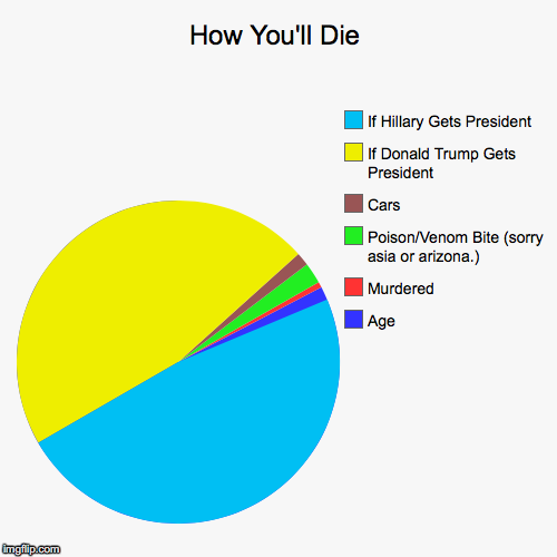 How You'll Die (dont worry its a joke)
 | image tagged in funny,pie charts | made w/ Imgflip chart maker