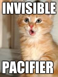 Funny animals | INVISIBLE; PACIFIER | image tagged in funny animals | made w/ Imgflip meme maker
