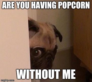 Pugsy | ARE YOU HAVING POPCORN; WITHOUT ME | image tagged in pugsy | made w/ Imgflip meme maker