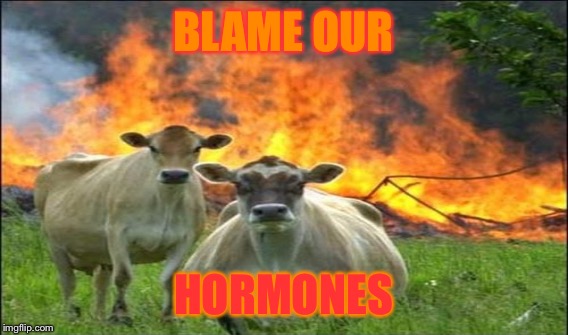 BLAME OUR HORMONES | made w/ Imgflip meme maker