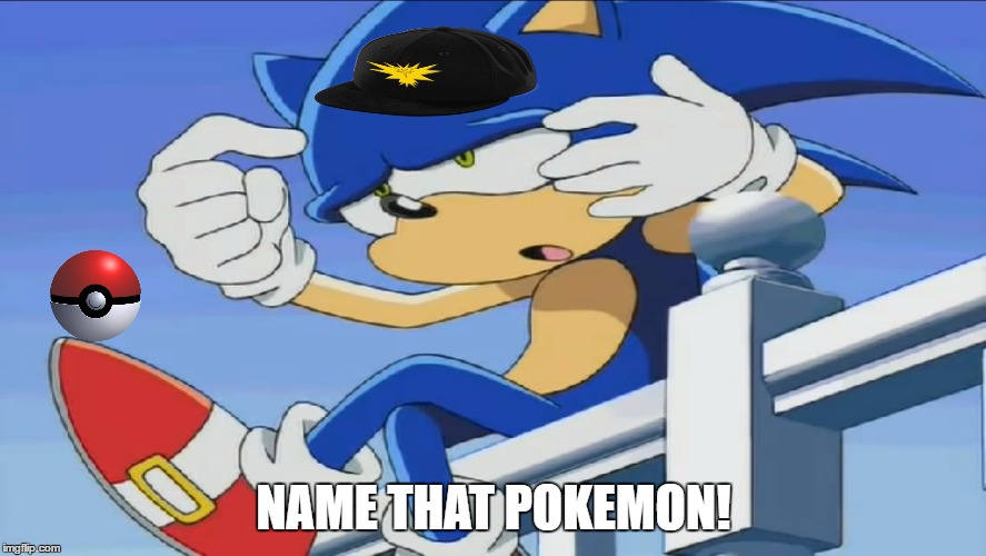 Sonic Can't Remember - Sonic X | NAME THAT POKEMON! | image tagged in sonic can't remember - sonic x | made w/ Imgflip meme maker