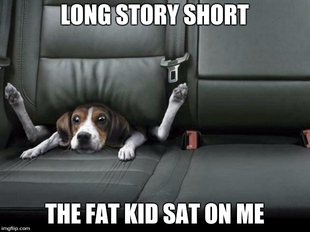 funny dog back seat | LONG STORY SHORT; THE FAT KID SAT ON ME | image tagged in funny dog back seat | made w/ Imgflip meme maker