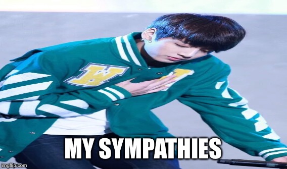 MY SYMPATHIES | made w/ Imgflip meme maker