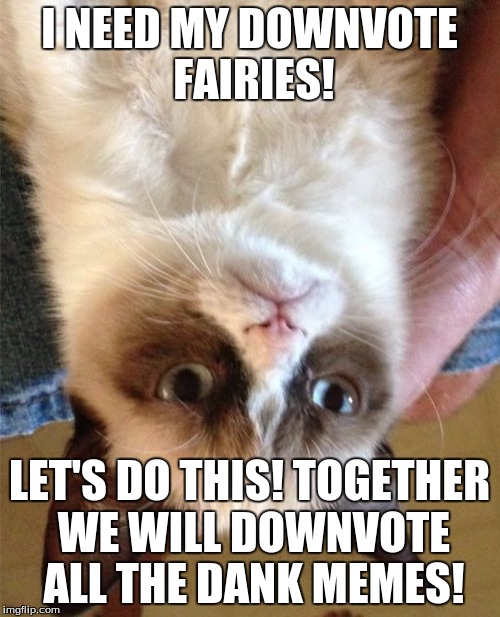 Grumpy Cat Meme | I NEED MY DOWNVOTE FAIRIES! LET'S DO THIS! TOGETHER WE WILL DOWNVOTE ALL THE DANK MEMES! | image tagged in memes,grumpy cat | made w/ Imgflip meme maker