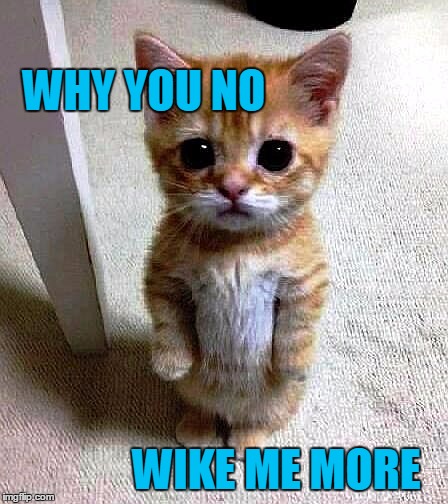 WHY YOU NO WIKE ME MORE | image tagged in kitty | made w/ Imgflip meme maker