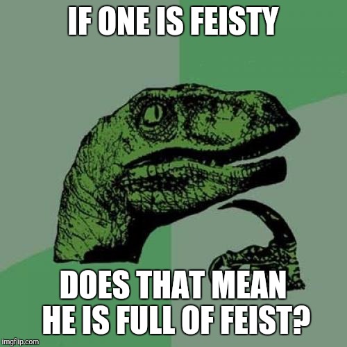 Today I learned feist is an archaic term for fart | IF ONE IS FEISTY; DOES THAT MEAN HE IS FULL OF FEIST? | image tagged in memes,philosoraptor | made w/ Imgflip meme maker