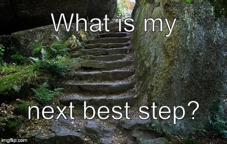 Stone Steps | What is my; next best step? | image tagged in stone steps | made w/ Imgflip meme maker