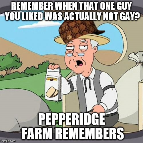 Pepperidge Farm Remembers | REMEMBER WHEN THAT ONE GUY YOU LIKED WAS ACTUALLY NOT GAY? PEPPERIDGE FARM REMEMBERS | image tagged in memes,pepperidge farm remembers,scumbag | made w/ Imgflip meme maker