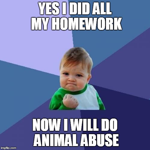 Success Kid Meme | YES I DID ALL MY HOMEWORK; NOW I WILL DO ANIMAL ABUSE | image tagged in memes,success kid | made w/ Imgflip meme maker