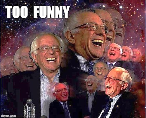 Bernie Laff | TOO  FUNNY | image tagged in bernie laff | made w/ Imgflip meme maker
