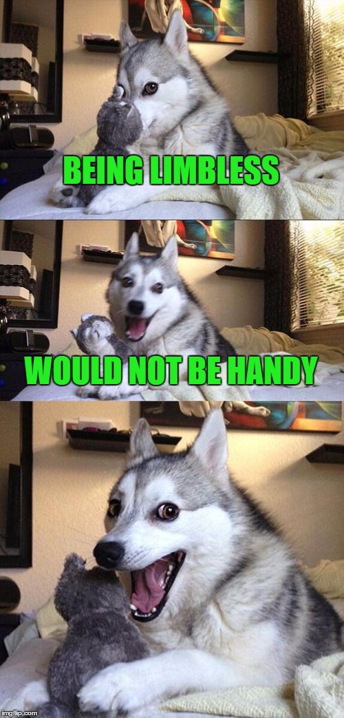 Bad Pun Dog | BEING LIMBLESS; WOULD NOT BE HANDY | image tagged in memes,bad pun dog | made w/ Imgflip meme maker