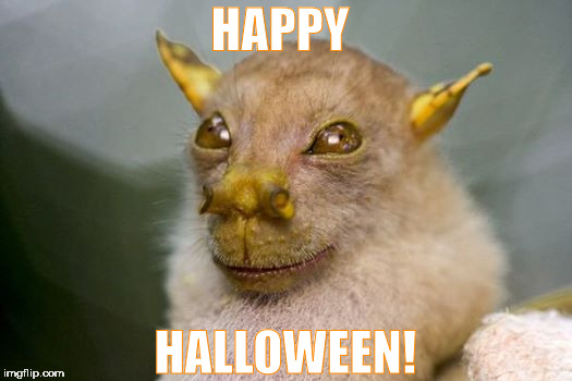 HAPPY; HALLOWEEN! | image tagged in halloween | made w/ Imgflip meme maker