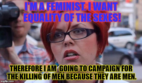 Angry Feminist | I'M A FEMINIST. I WANT EQUALITY OF THE SEXES! THEREFORE I AM  GOING TO CAMPAIGN FOR THE KILLING OF MEN BECAUSE THEY ARE MEN. | image tagged in angry feminist | made w/ Imgflip meme maker