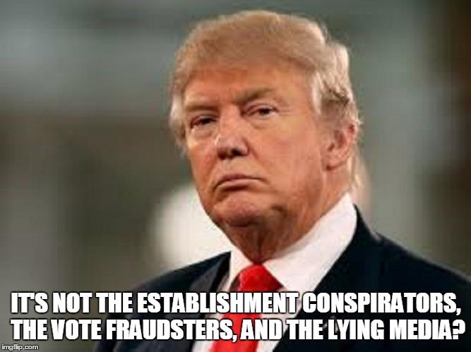 IT'S NOT THE ESTABLISHMENT CONSPIRATORS, THE VOTE FRAUDSTERS, AND THE LYING MEDIA? | made w/ Imgflip meme maker